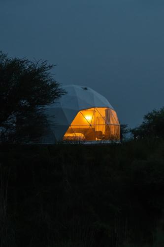 Teela - The Glamping Resort