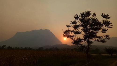 Ban Thung Talay Mok Chiangdao