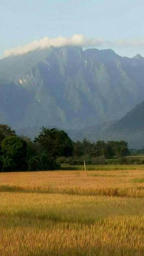 Ban Thung Talay Mok Chiangdao