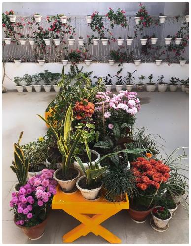 Stay Banaras | A Boutique Stay