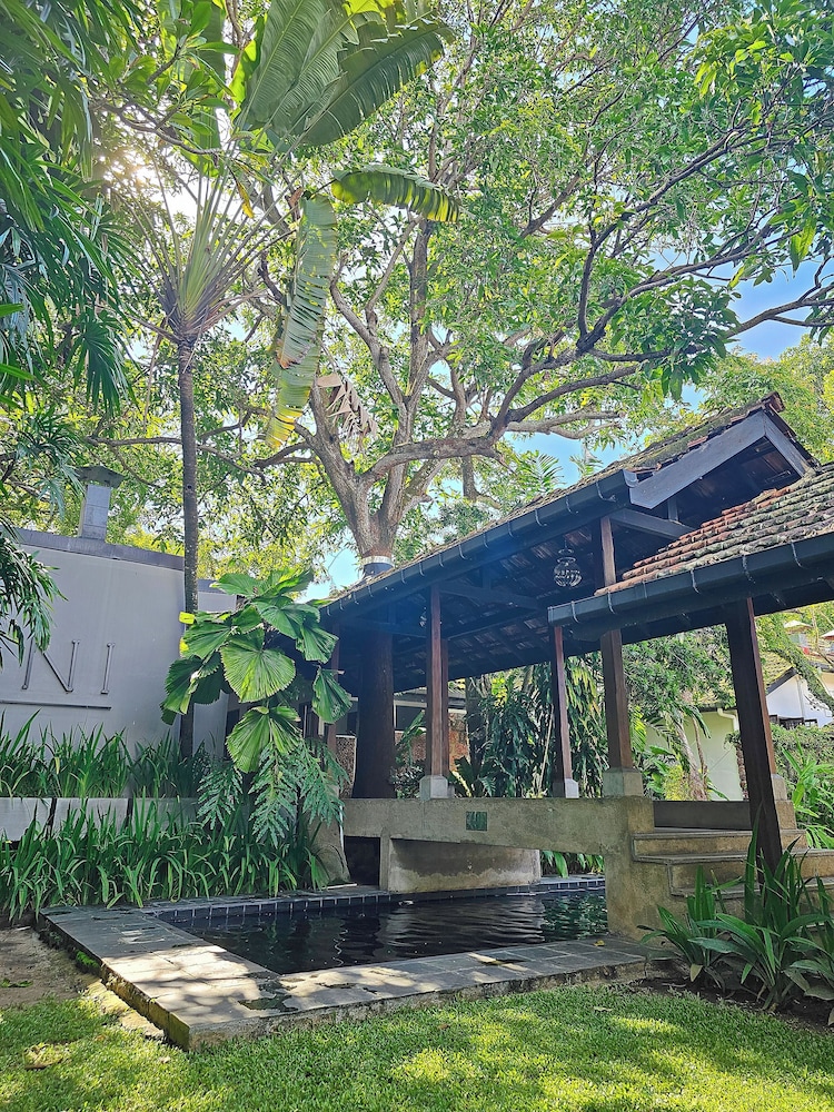 Havelock Place Bungalow