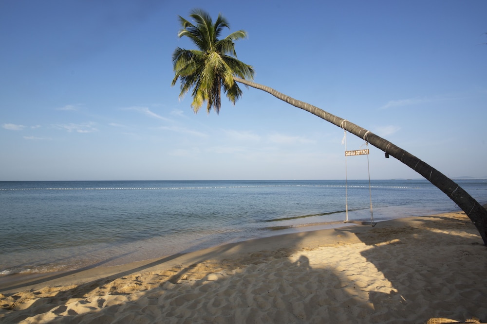 Cassia Cottage Resort and Spa