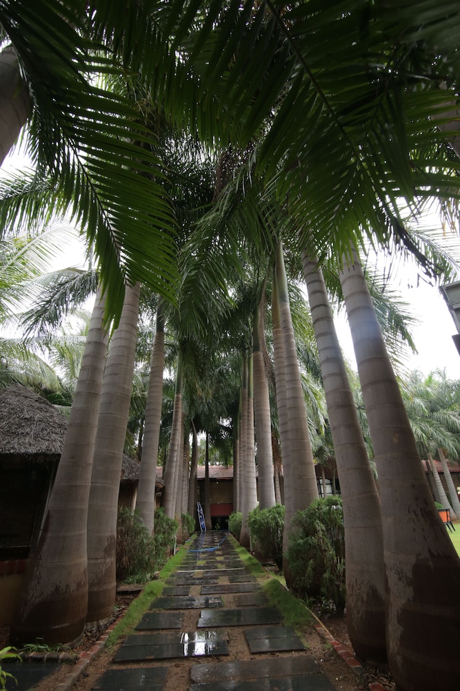 Hotel Hampi International