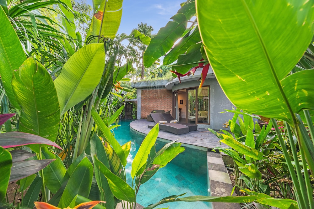 De Moksha Eco Friendly Boutique Resort