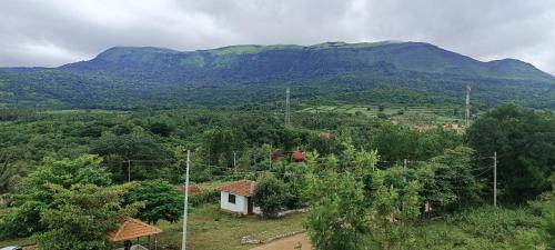 Golden Hill Resort
