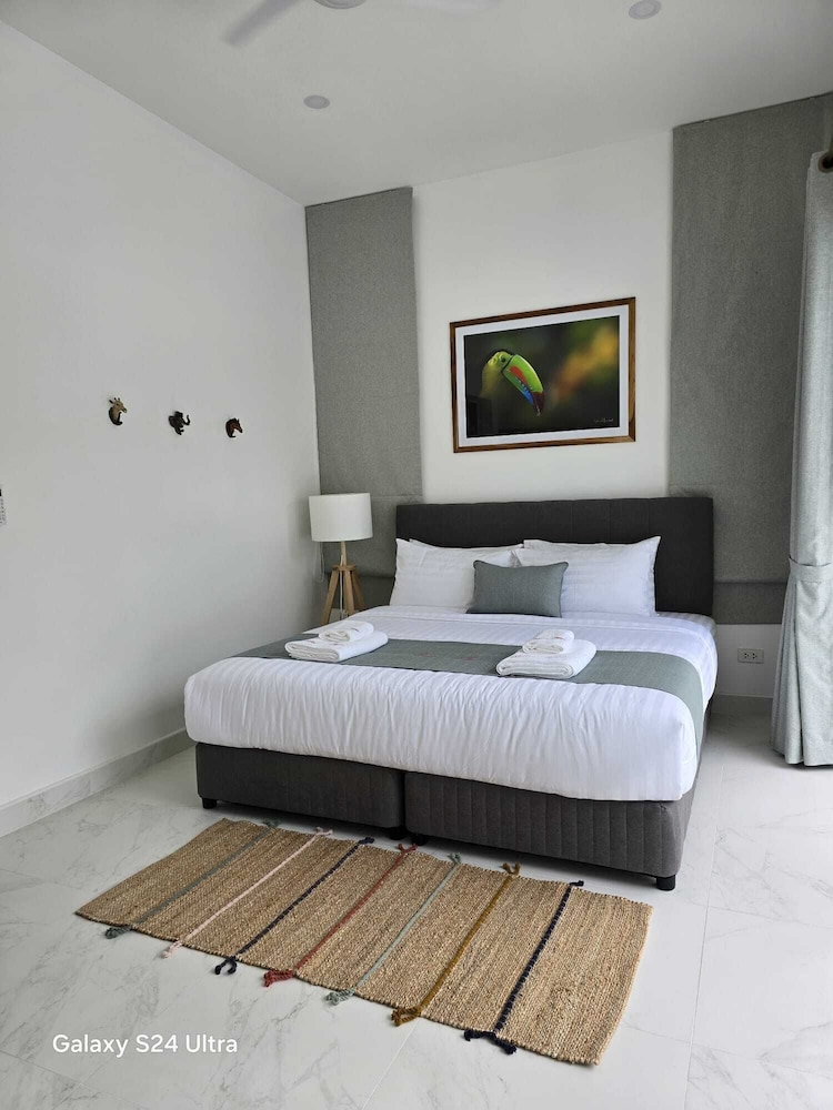Bougain Villas