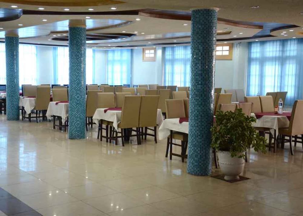 Hotel Demanchi Naran