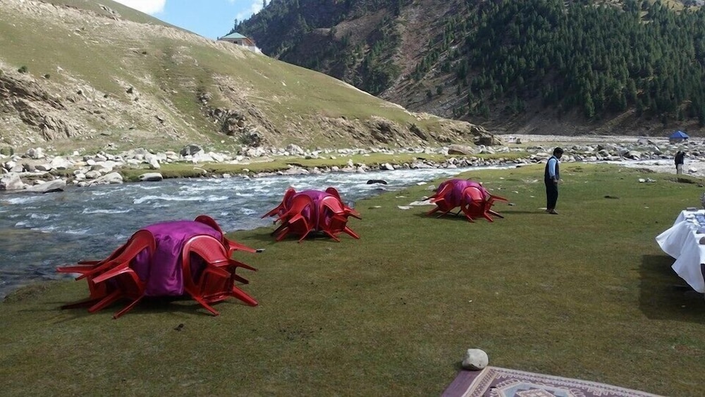 Hotel Demanchi Naran