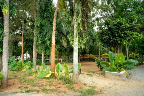 Farm Stay Resort  - Shamirpet, Hyderabad