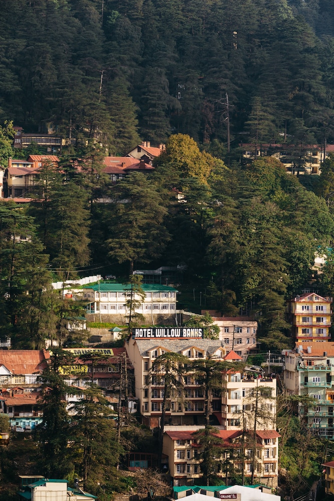  Hotel Willow Banks Shimla