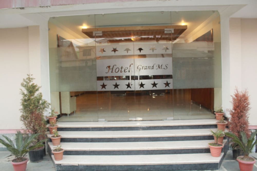 Grand Ms