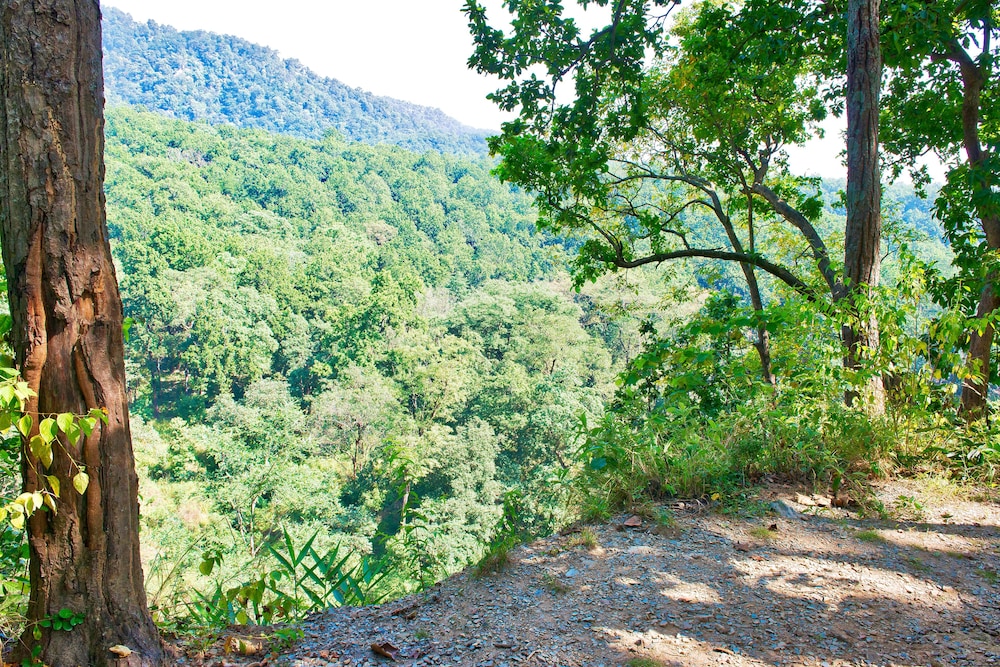 Paatlidun Safari Lodge, Corbett