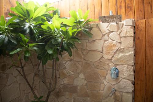 Palm Villas