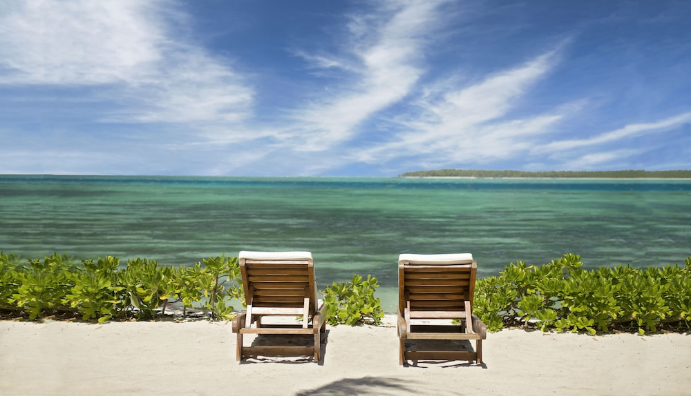 Tropical Attitude - Adults only
