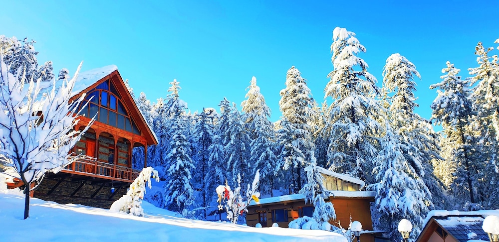 WoodVista Cottages | Secluded Mountain Stay