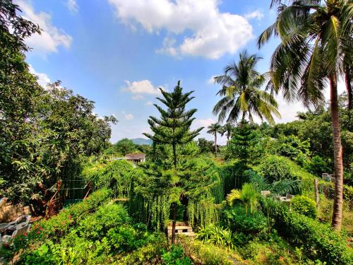 Anil Farms Gir Jungle Resort