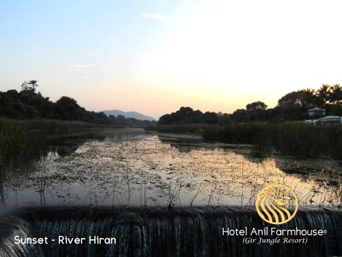 Anil Farms Gir Jungle Resort