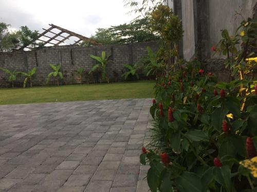 Dikubu Belong Seminyak