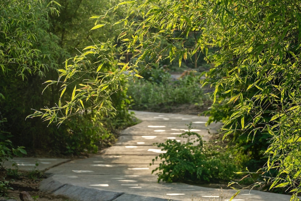 Red Earth Tadoba Tiger Safari Resort