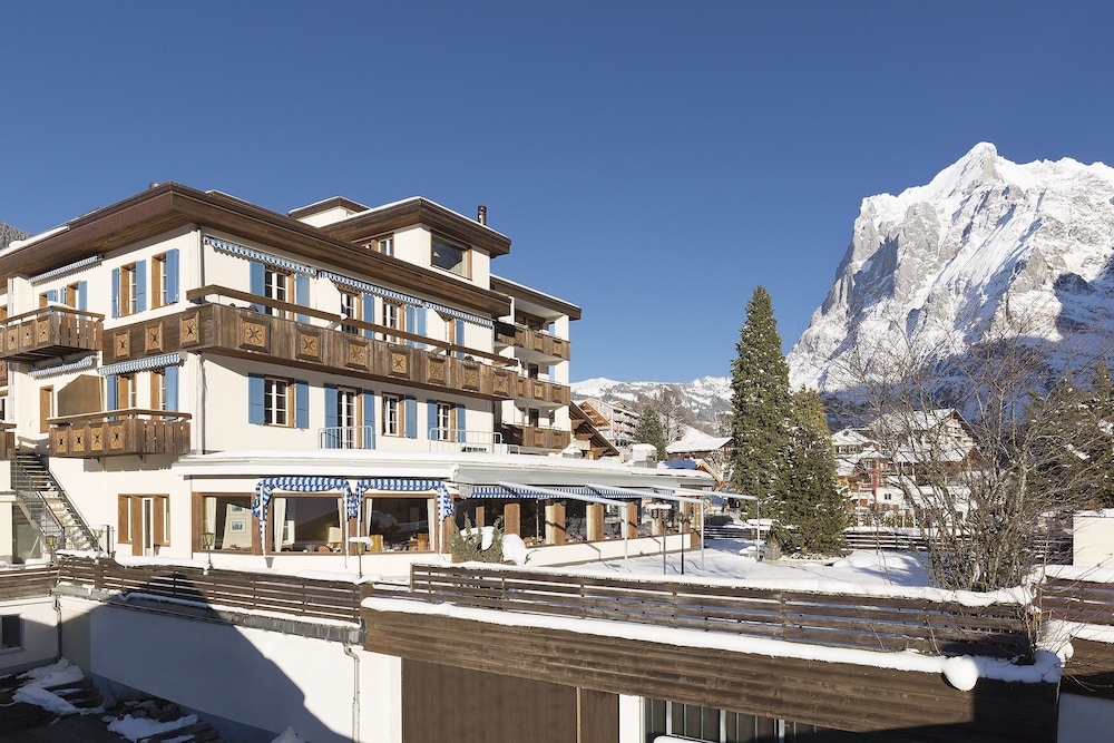 Hotel Spinne