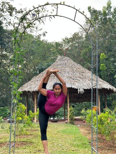 Vajra Ayurveda and Yoga Retreat