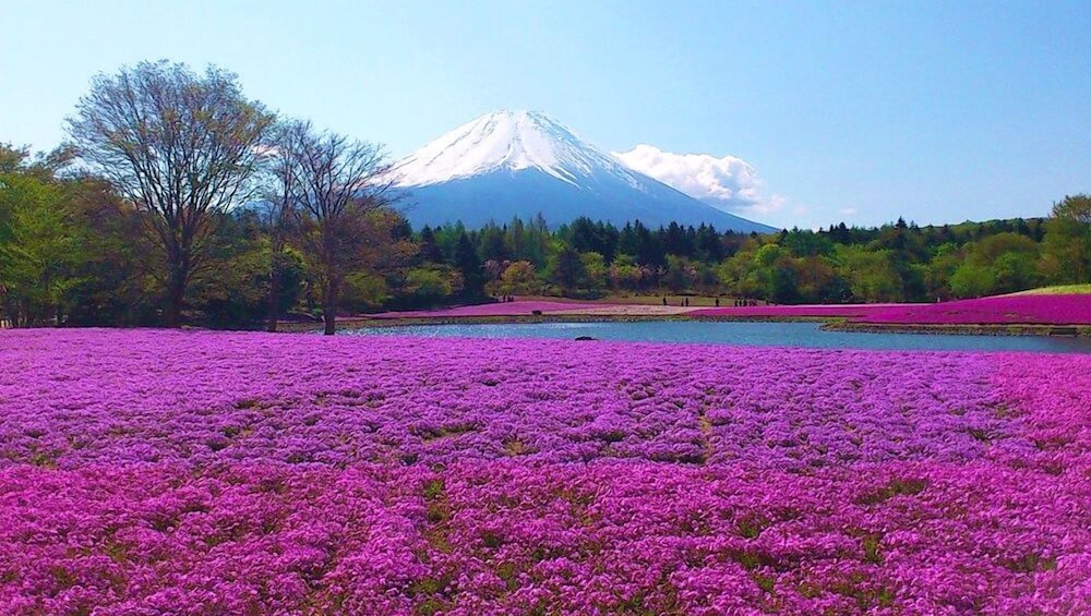 Motosu View Hotel