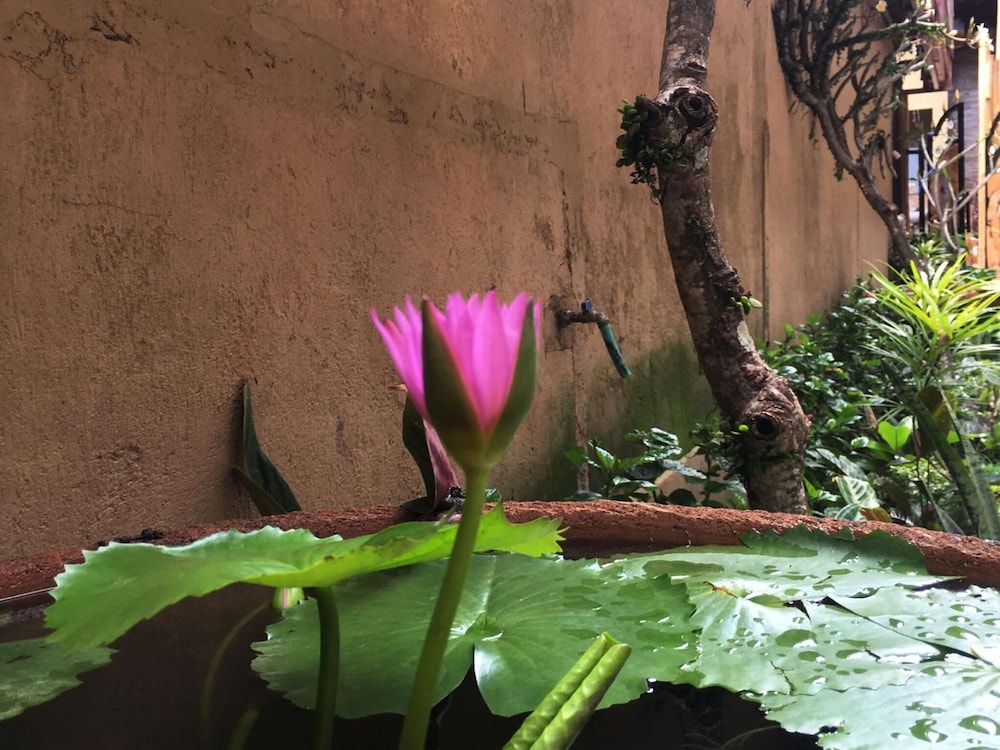 Bulan Bali Homestay