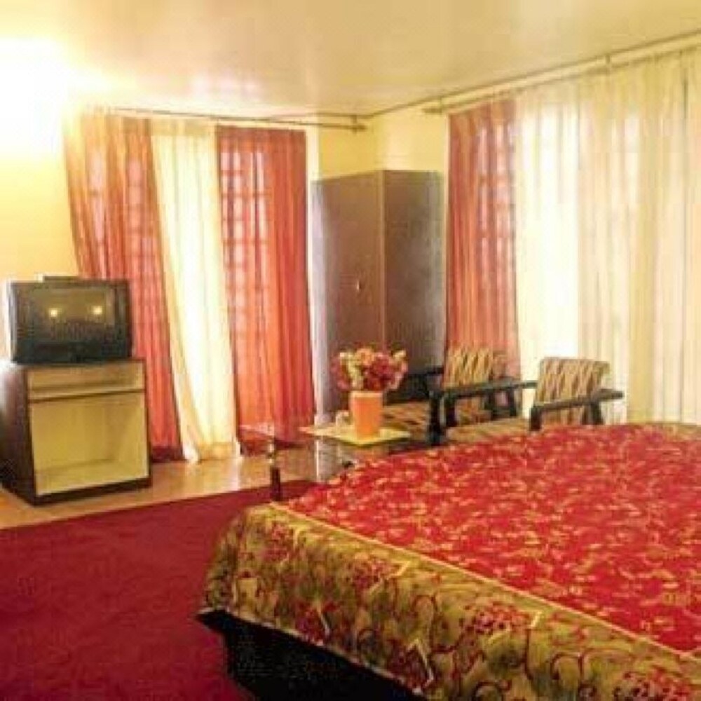 Hotel New Palace
