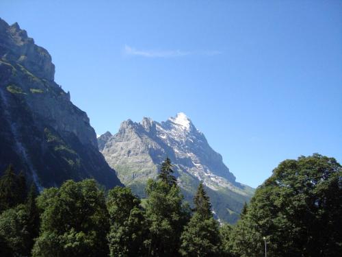Hotel Wetterhorn