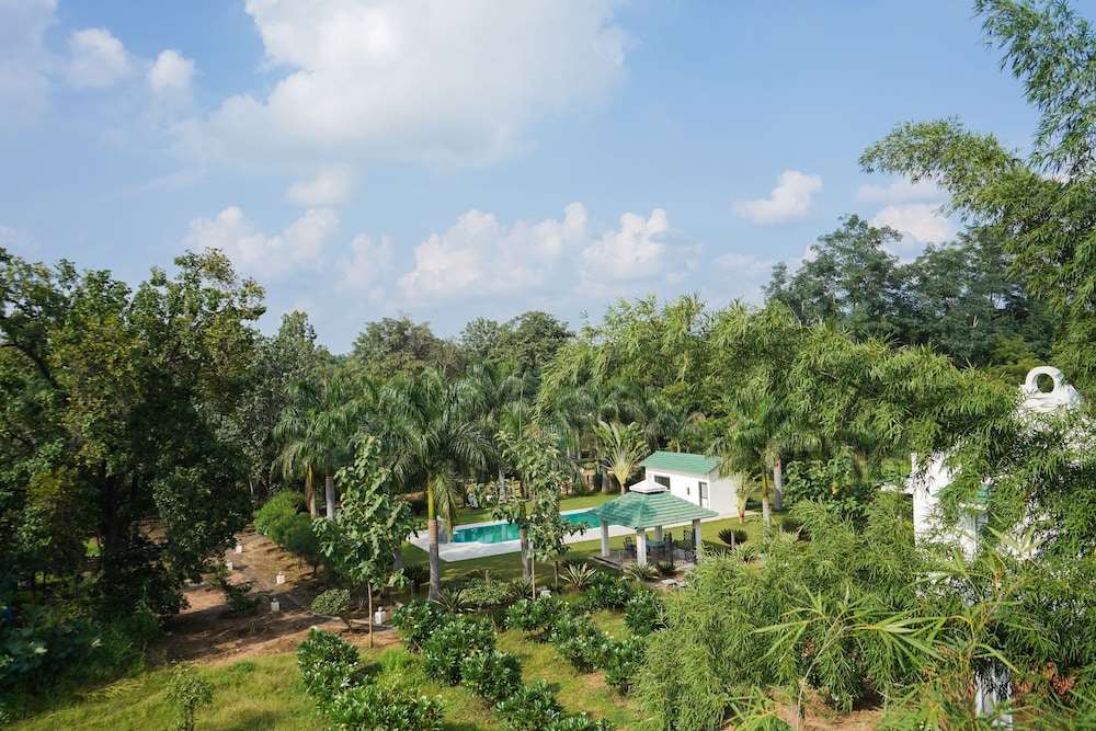 Village Machaan Resort