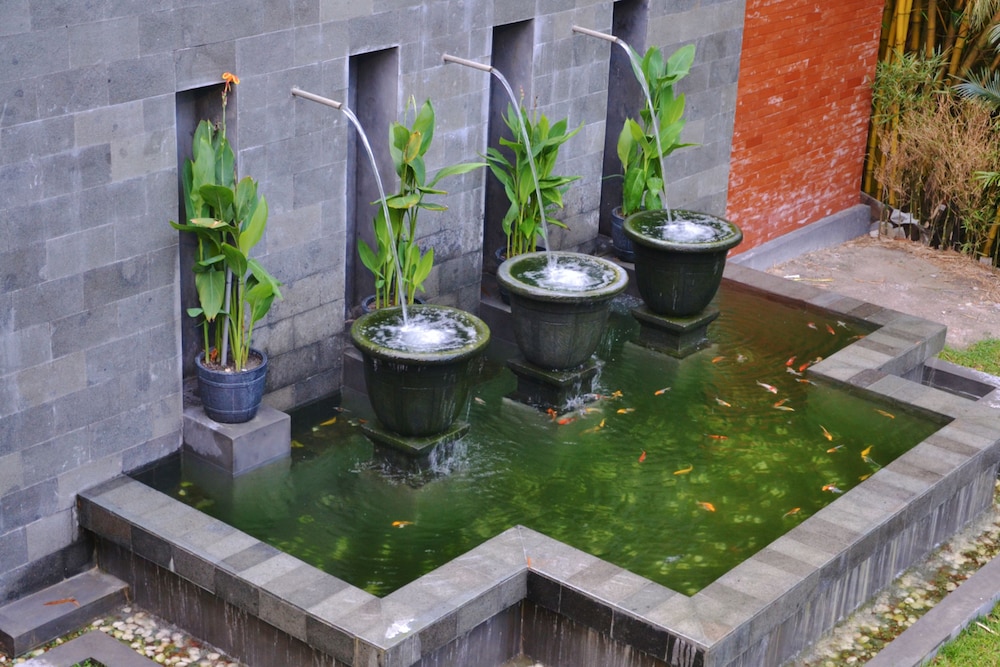 Arsela Hotel Pangkalan Bun