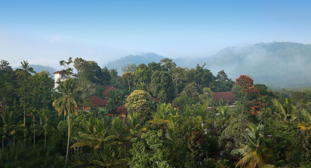 Elephant Court Thekkady