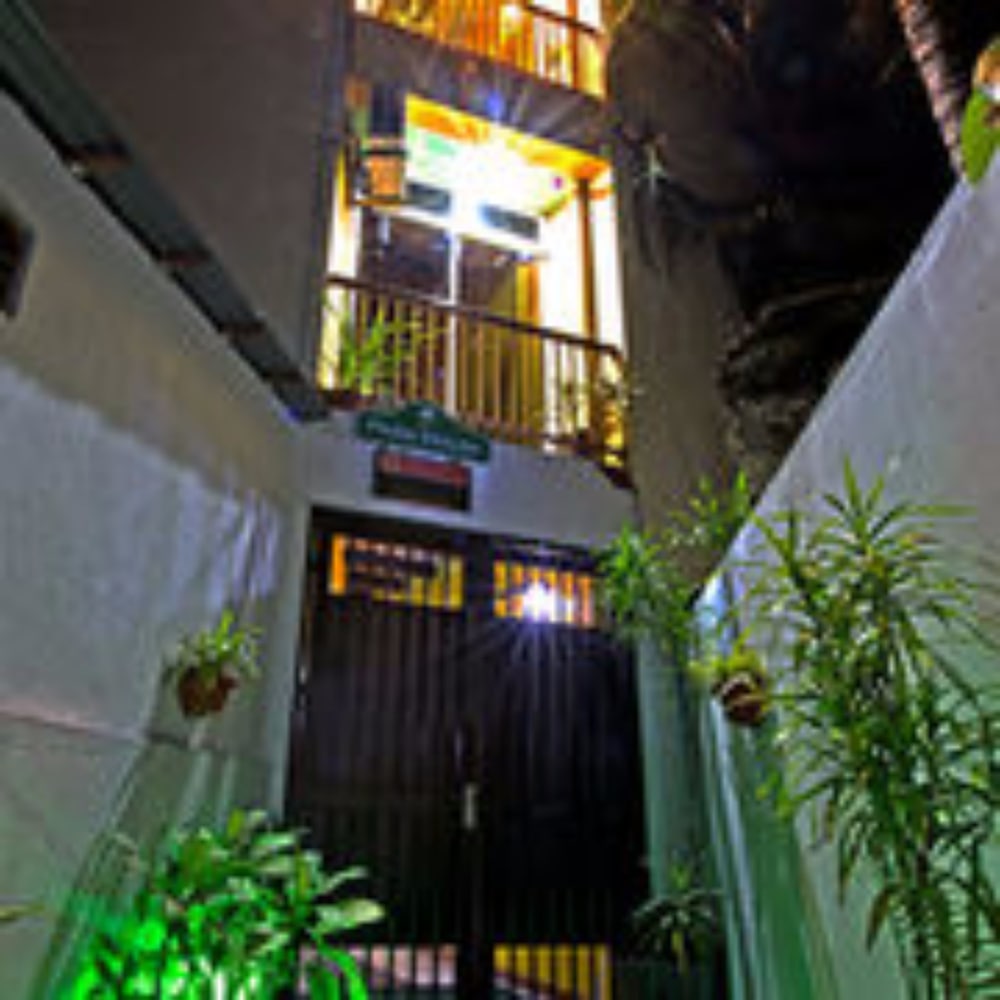 The PARK HOUSE