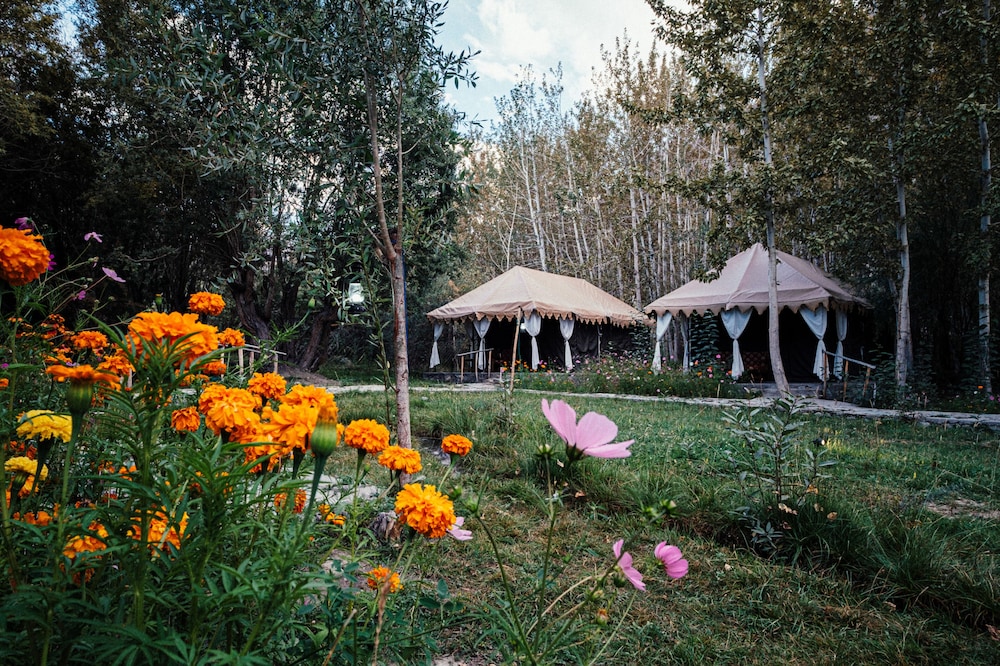 Nubra eco village