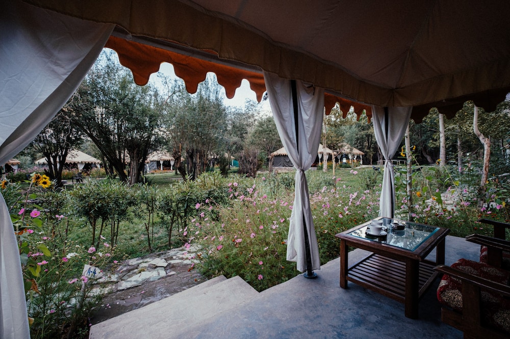 Nubra eco village