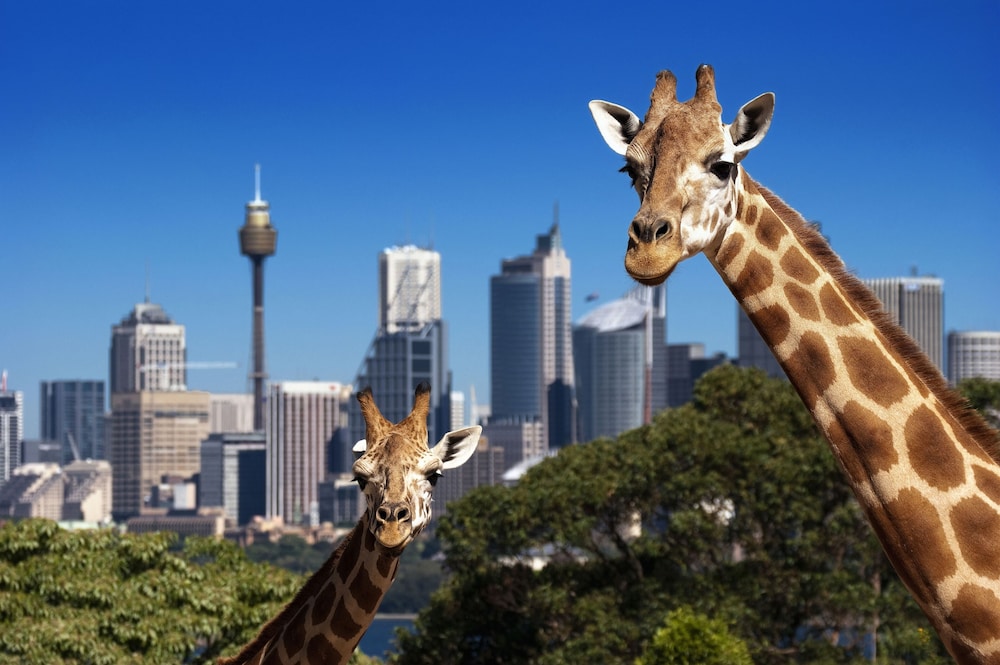 Metro Hotel Marlow Sydney Central