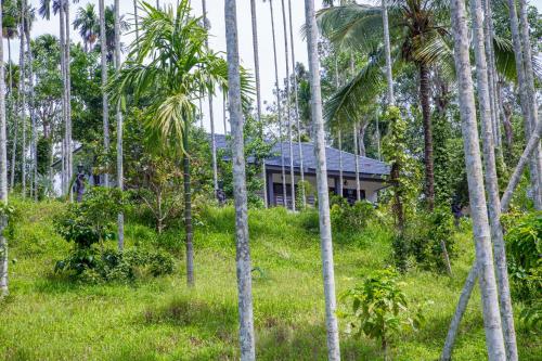 Wayanad Fort Resort