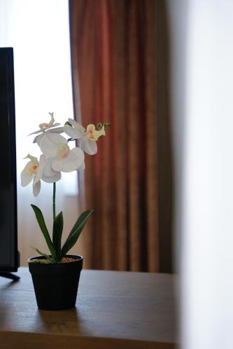 Doanesia Premium Hotel & Spa