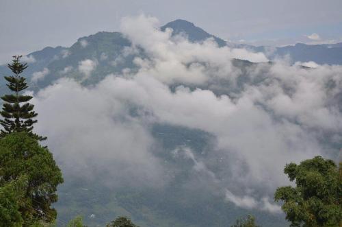 Divyaraa Breathing Stone Kalimpong