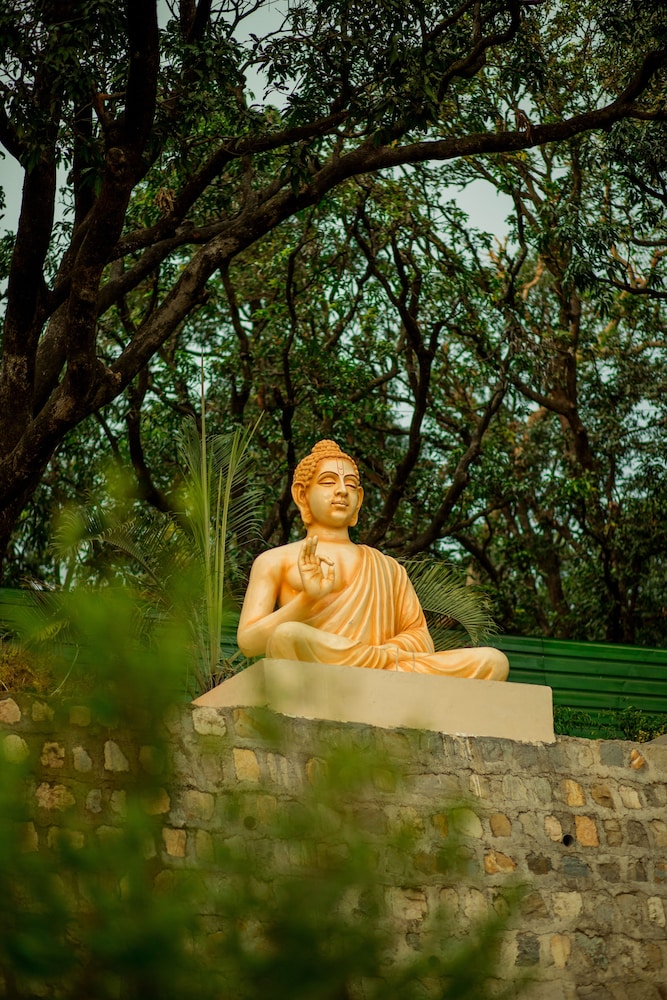 Sterling Palm Bliss Wellness Resort, Rishikesh