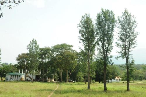 River Valley Resort