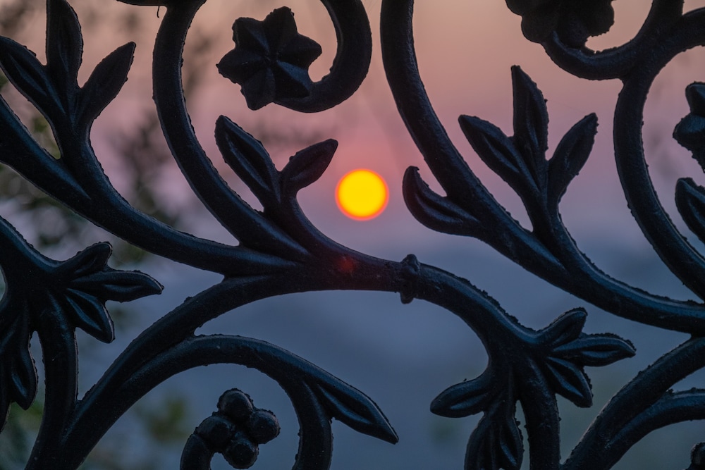 The Bougainvillea Retreat Dehradun