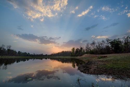 The Riverwood Forest Retreat-Pench