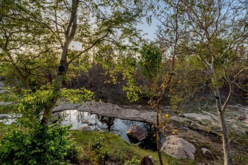 The Riverwood Forest Retreat-Pench