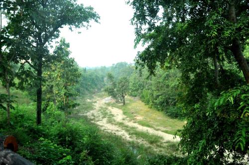 The Riverwood Forest Retreat-Pench