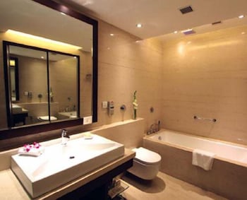 The Hotel Hindusthan International