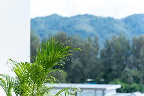 Sole Mio Boutique Hotel and Wellness - Adults only