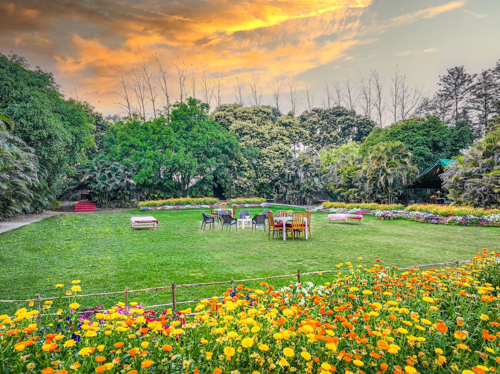 Citrus County, Hoshiarpur, Amã Stays & Trails