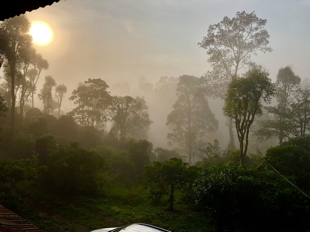 CG ALA - The Coffee Grove