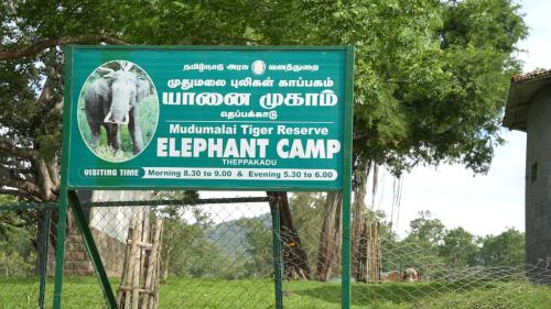 Wild Tusker Homestay Masinagudi by LexStays